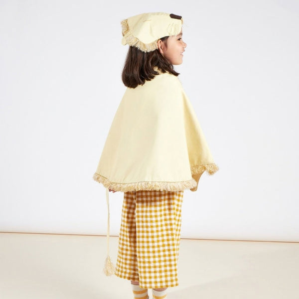 Lion Costume