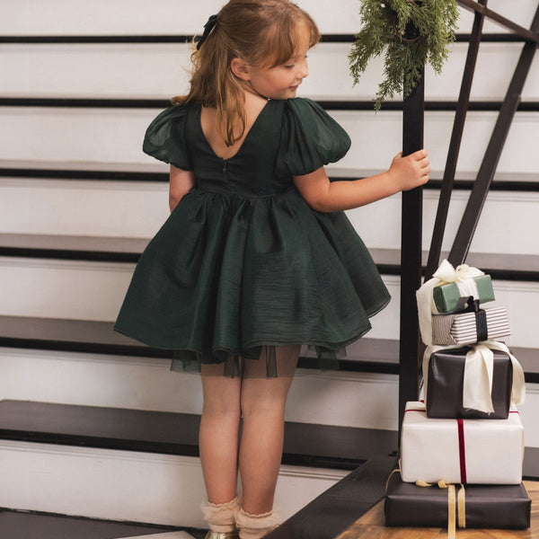 Noralee -  Sofia Dress - Green Shimmer