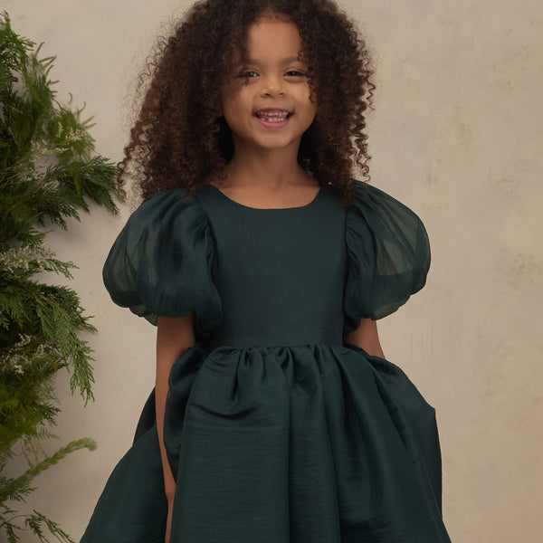 Noralee -  Sofia Dress - Green Shimmer