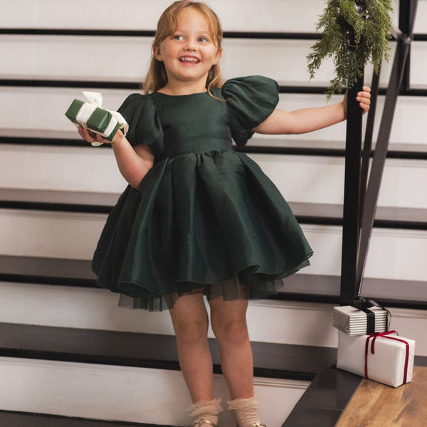 Noralee -  Sofia Dress - Green Shimmer
