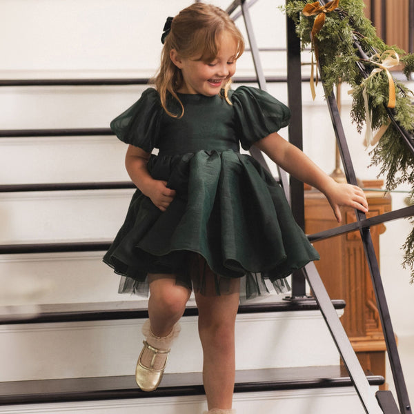 Noralee -  Sofia Dress - Green Shimmer