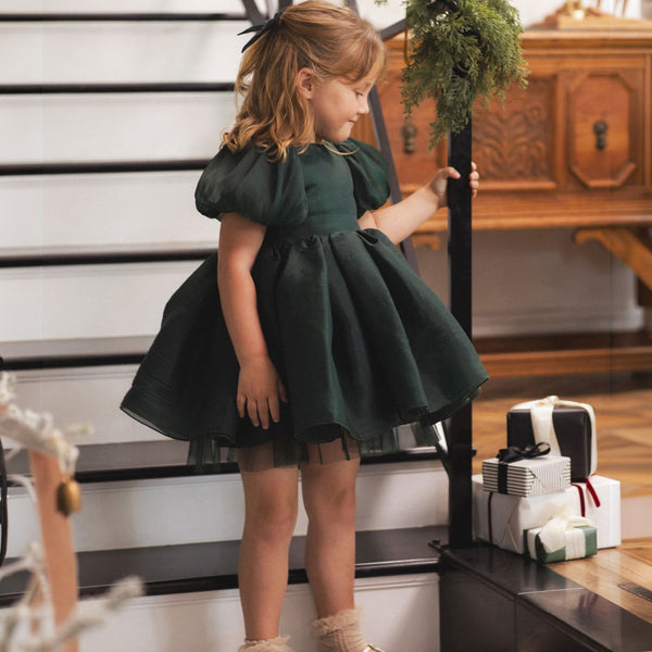 Noralee -  Sofia Dress - Green Shimmer