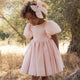 Noralee - Sofia Dress - Rose Shimmer