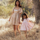 Noralee - Sofia Dress - Rose Shimmer