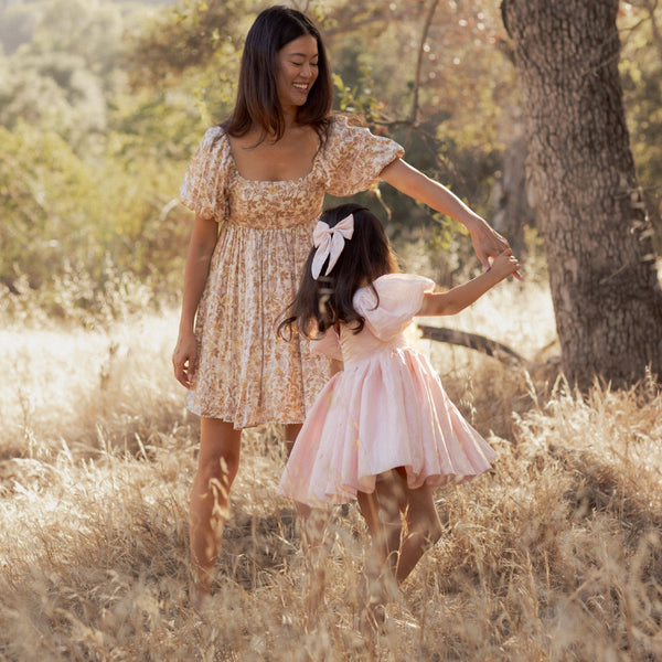 Noralee - Sofia Dress - Rose Shimmer