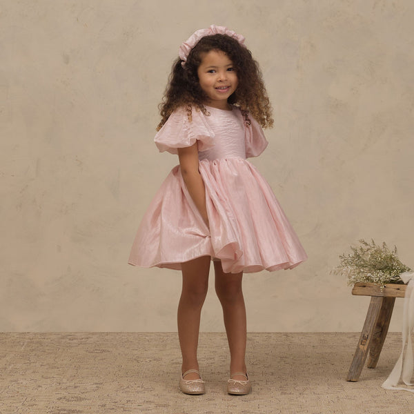 Noralee - Sofia Dress - Rose Shimmer