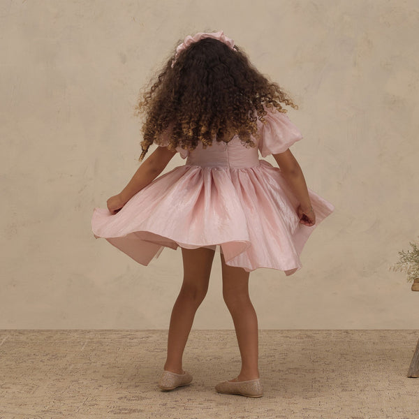 Noralee - Sofia Dress - Rose Shimmer