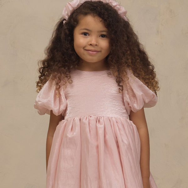 Noralee - Sofia Dress - Rose Shimmer