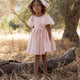 Noralee - Sofia Dress - Rose Shimmer
