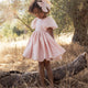 Noralee - Sofia Dress - Rose Shimmer