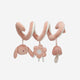 Noüka - Sprial Activity Toy - Pip The Rabbit