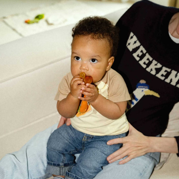 Oli & Carol - Cathy the Carrot Pacifier Clip