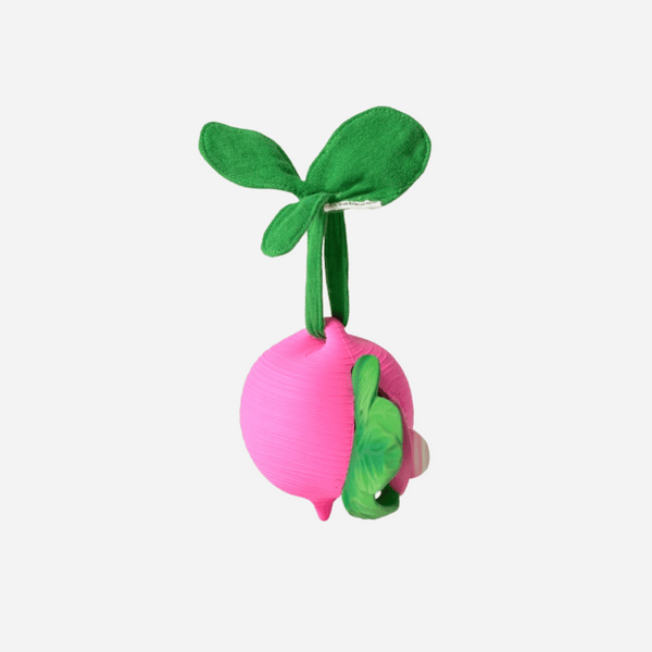 Oli & Carol US - Ramona the Radish Pacifier Case