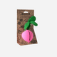 Oli & Carol US - Ramona the Radish Pacifier Case