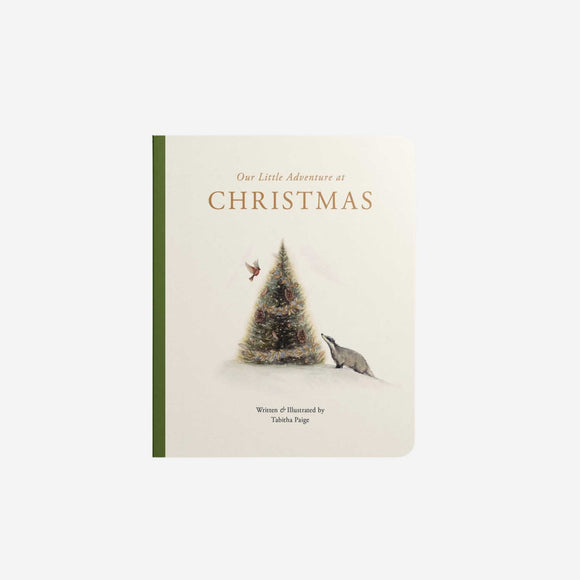 Our Little Adventure at Christmas Book By Tabatha Paige