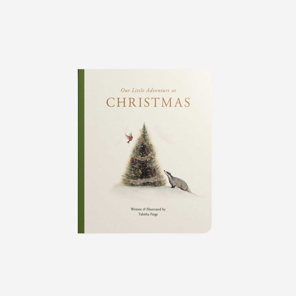 Our Little Adventure at Christmas Book By Tabatha Paige
