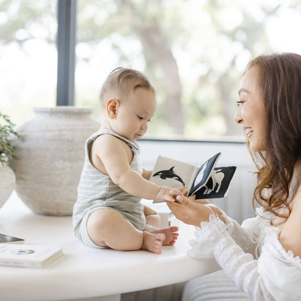 Paige Tate & Co.  - Organic Tummy Time Crinkle Book for Baby