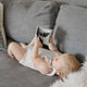 Paige Tate & Co.  - Organic Tummy Time Crinkle Book for Baby