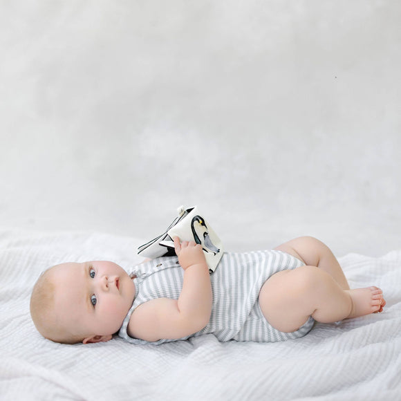 Paige Tate & Co.  - Organic Tummy Time Crinkle Book for Baby