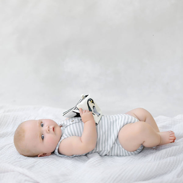 Paige Tate & Co.  - Organic Tummy Time Crinkle Book for Baby