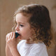 Plan Toys - Whale Whistle