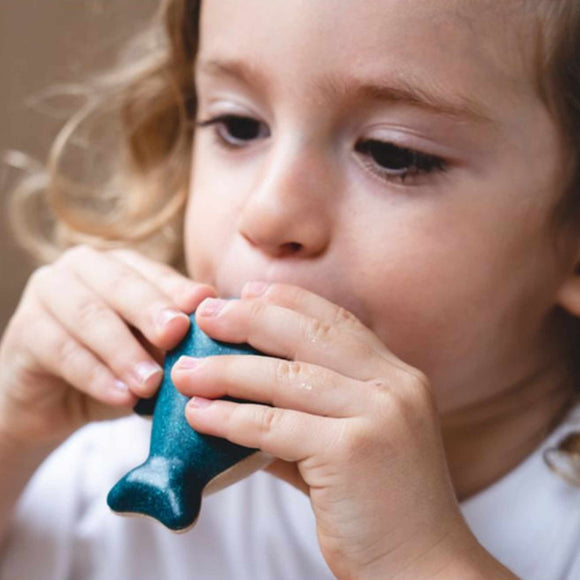 Plan Toys - Whale Whistle