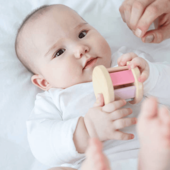 Plan Toys - Wooden Roller Toy for Baby - Pastel