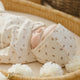Quincy Mae - Take Home Set - Holly Berry
