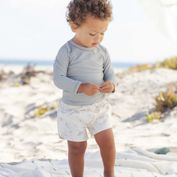 Quincy Mae -Boys Swim Short - Dinosaur