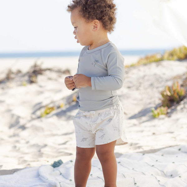 Quincy Mae -Boys Swim Short - Dinosaur