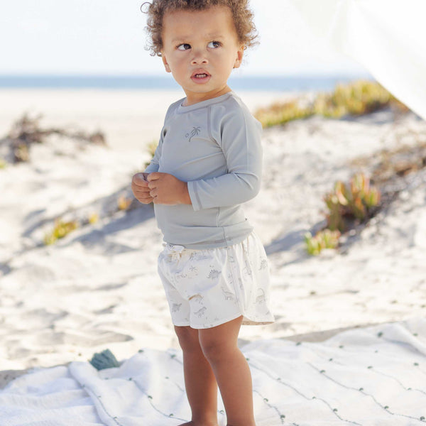 Quincy Mae -Boys Swim Short - Dinosaur