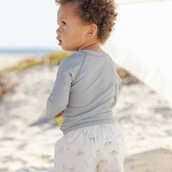 Quincy Mae -Boys Swim Short - Dinosaur