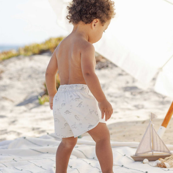 Quincy Mae -Boys Swim Short - Dinosaur