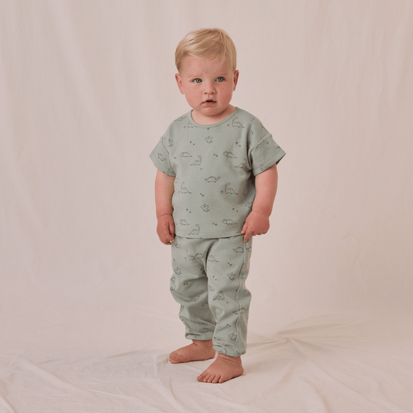 Quincy Mae - Jersey Tee + Pant Set - Dino