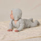 Quincy Mae - Organic Swaddle Blanket - Penguins