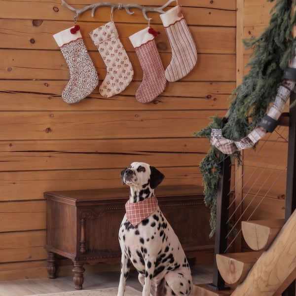 Rylee + Cru - Noel Stocking - Candy Cane Lane