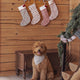 Rylee + Cru - Noel Stocking - Candy Cane Lane