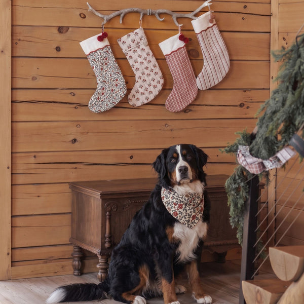 Rylee + Cru - Noel Stocking - Candy Cane Lane