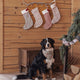Rylee + Cru - Noel Stocking - Candy Cane Lane