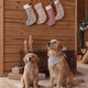 Rylee + Cru - Noel Stocking - Candy Cane Lane