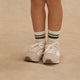 Rylee + Cru - Striped Socks, Set of 2 - Brown + Green Stripe