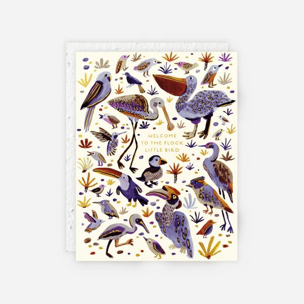 Seedlings - Little Bird - Baby Card
