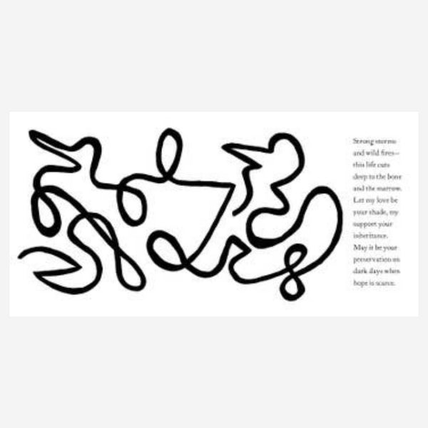 The First Days: A High-Contrast Book for Parents and Babies