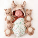 cuddle+kind - Baby fawn, gives 5 meals