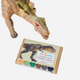 eco-kids - Beeswax Crayons - Dinosaur Bones