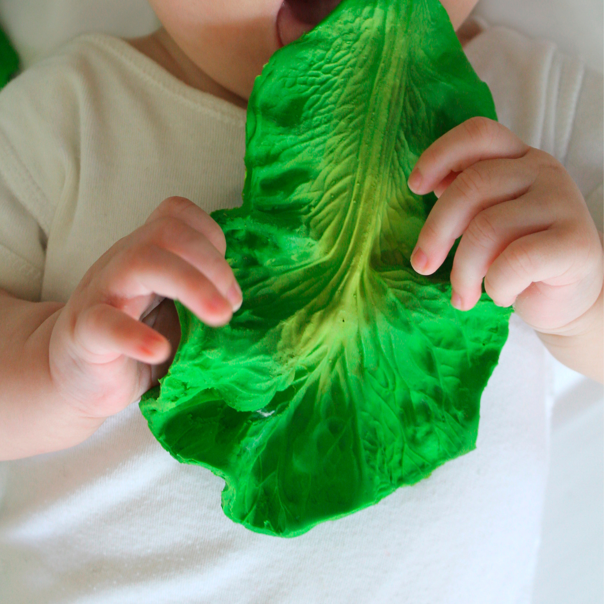 Oli & Carol - Kendall the Kale Natural Teether – Dearly