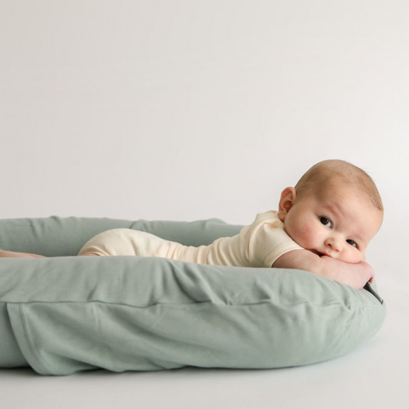 Snuggle Me Organic Infant Lounger Cover - Slate