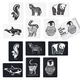 Wee Gallery - Black and White High Contrast Art Cards