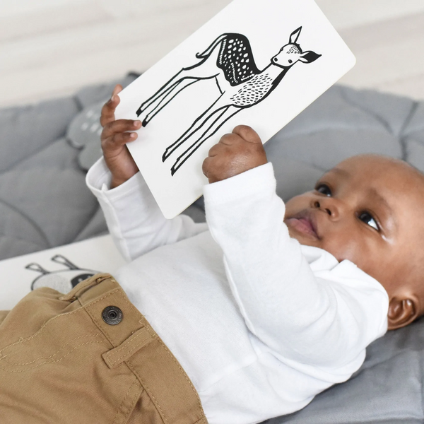 Wee Gallery - Black and White High Contrast Art Cards